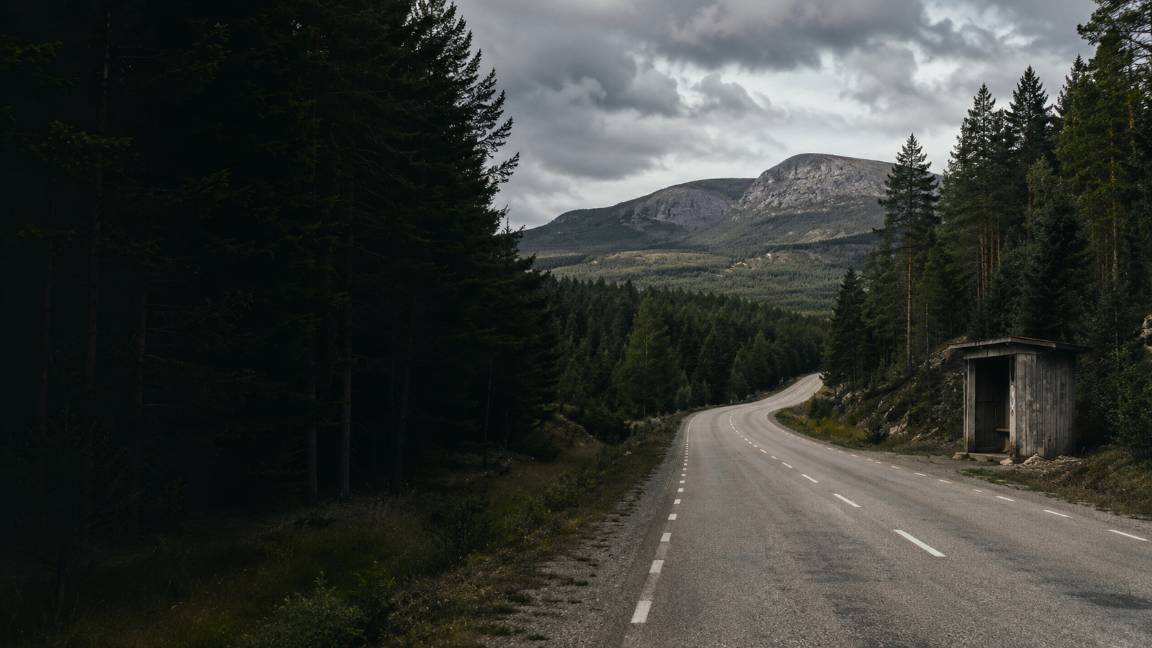 Skogsväg mot fjällen – Merchdude Originals